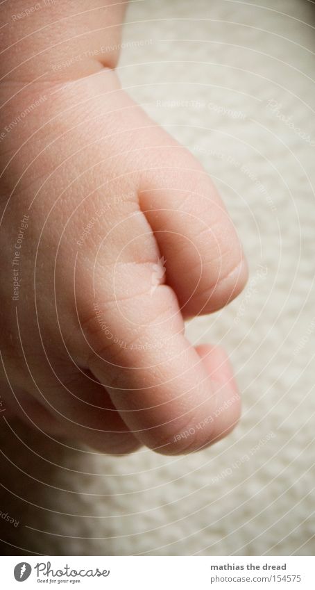 SMALL HAND Hand Finger winzig Makroaufnahme Baby Kind saugen sabbern niedlich Fett süß Kleinkind Freude schön