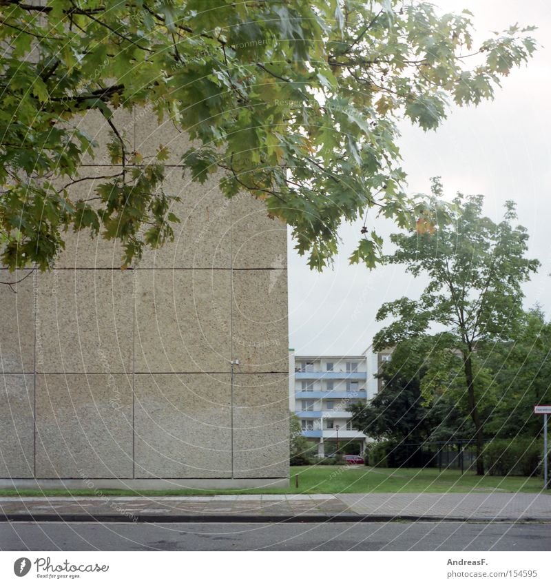 Wohnen im Grünen Cottbus Plattenbau DDR Häusliches Leben Wohngebiet Ghetto Beton grün Baum Herbst Fassade Wohnung Blatt Haus Vergänglichkeit plattenbaugebiet