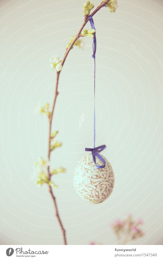 Lange Schnur mit Ei Feste & Feiern Ostern Zeichen hängen einzigartig Osterei Dekoration & Verzierung Religion & Glaube Frühling Ast Zweig Blütenknospen Kirsche