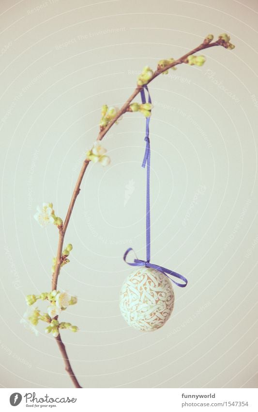 Blaue Schlupp Ostern hängen Osterei selbstgemacht Schleife blau Zweig Zweige u. Äste Kirsche Kirschblüten 1 Single minimalistisch Blütenknospen altehrwürdig
