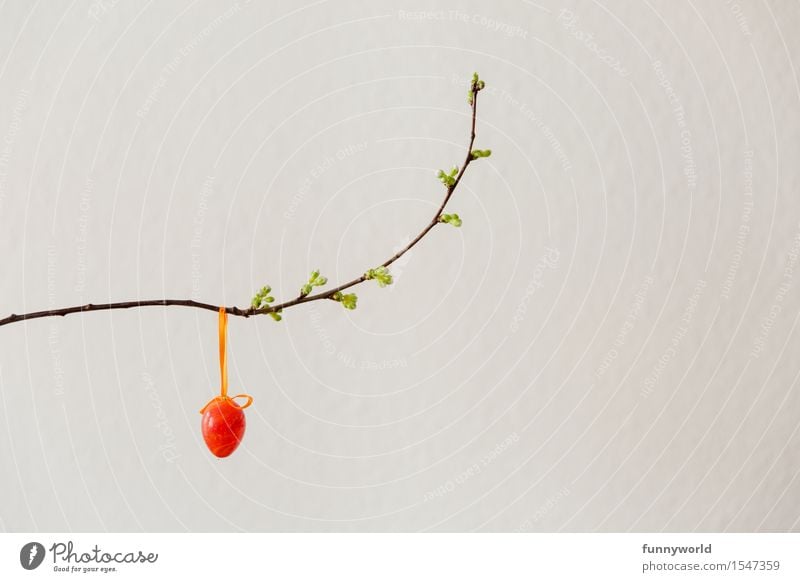ein Ei am Zweig I Ostern lustig Osterei Dekoration & Verzierung minimalistisch rot hängen Frühling Kirschblüten Blütenknospen 1 Ast Freisteller Farbfoto