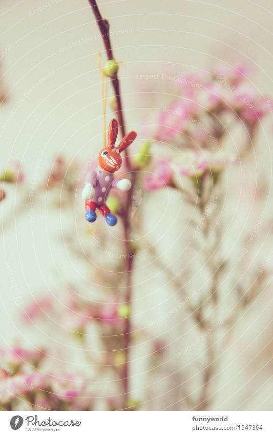 Osterhasi Ostern hängen Frühling Osterhase lustig Einsamkeit Single Blumenstrauß rosa 1 Hase & Kaninchen Dekoration & Verzierung Ostergeschenk Blüte Farbfoto