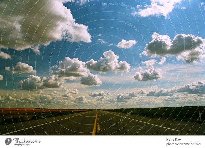 Himmelsstraße Sommer Ferne geradeaus Horizont Kanada Unendlichkeit Perspektive Alberta Verkehr Straße Wege & Pfade Autobahn frei Wolken Verkehrswege