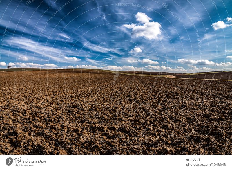 Himmel und Erde Gesundheitswesen Gesunde Ernährung Landwirtschaft Forstwirtschaft Umwelt Natur Landschaft Pflanze Urelemente Wolken Horizont Frühling Klima