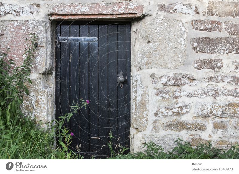 rural Häusliches Leben Garten Renovieren Tür Umwelt Pflanze Gras Sträucher Grünpflanze Dorf Haus Hütte Ruine Bauwerk Gebäude Architektur Mauer Wand Fassade