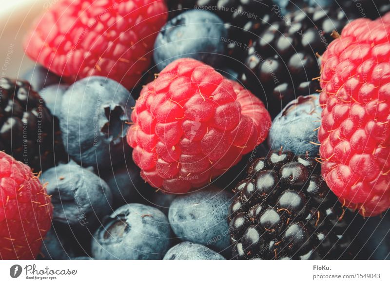 Beerig Lebensmittel Frucht Ernährung Bioprodukte Vegetarische Ernährung Diät Fasten frisch Gesundheit lecker natürlich süß blau rot schwarz Beeren Himbeeren