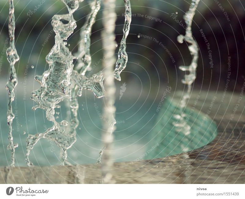 Wasserspiel Wassersport Menschenleer Schwimmbad Badehose Schwimmen & Baden Bewegung Erholung fallen Flüssigkeit frei nass blau grün Gefühle Stimmung Schutz