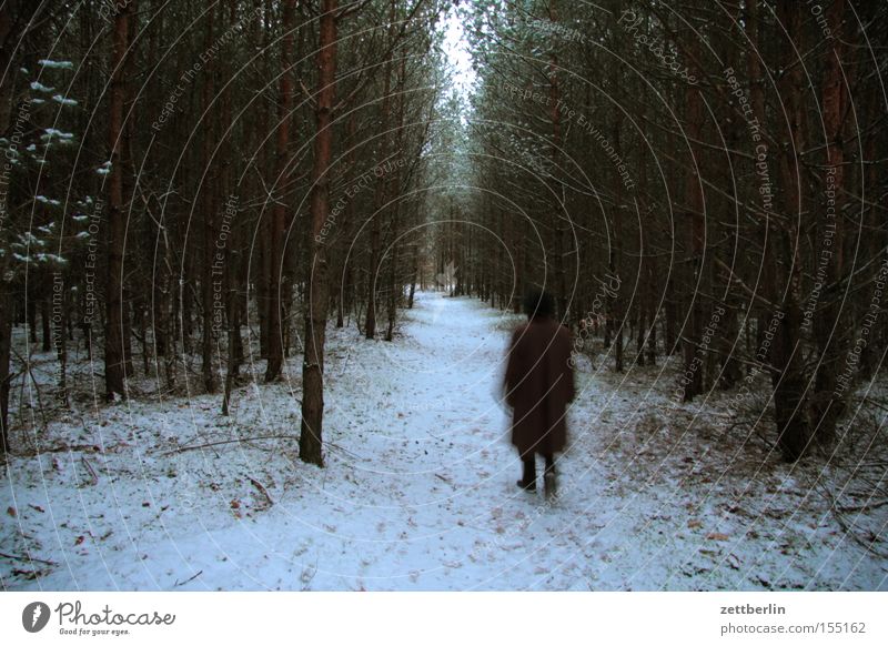 Mutter im Wald Wege & Pfade Fußweg wandern Schnee Neuschnee Winter Spaziergang Heimat Hemmung heimisch Hinweisschild Dämmerung dunkel gefährlich Trauer Angst