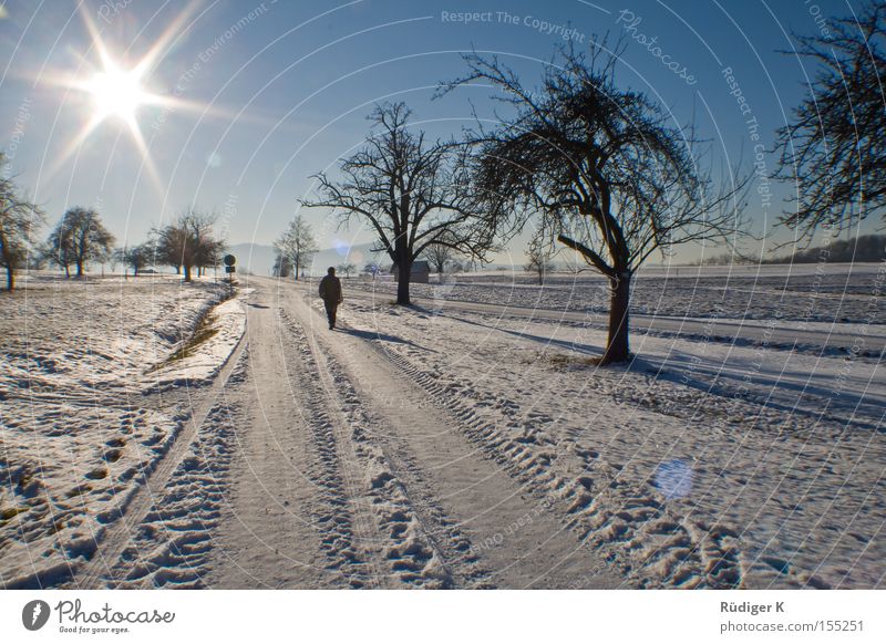 Allein spazieren Einsamkeit Schnee Sonne Himmel Baum Wege & Pfade Gegenlicht 7 Mensch Spaziergang Winter Tiefenbachtal Sterneffekt