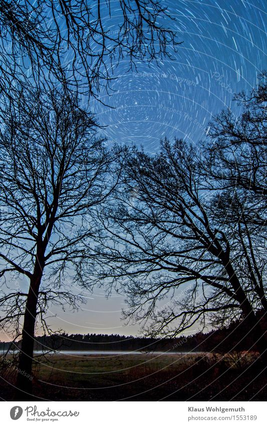 Panta rhei Umwelt Landschaft Himmel Nachthimmel Stern Horizont Frühling Winter Nebel Baum Gras Wiese Wald Salow drehen leuchten gruselig blau grau schwarz