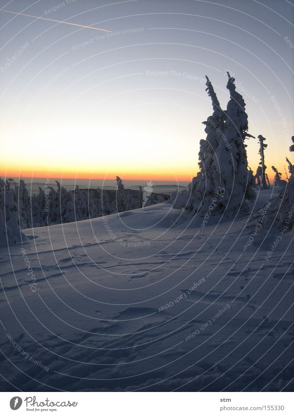 märchenwald Wald Baum Hügel Berge u. Gebirge Dämmerung Winter Winterstimmung Sonnenuntergang Romantik Schneewehe Textfreiraum Vor hellem Hintergrund Horizont