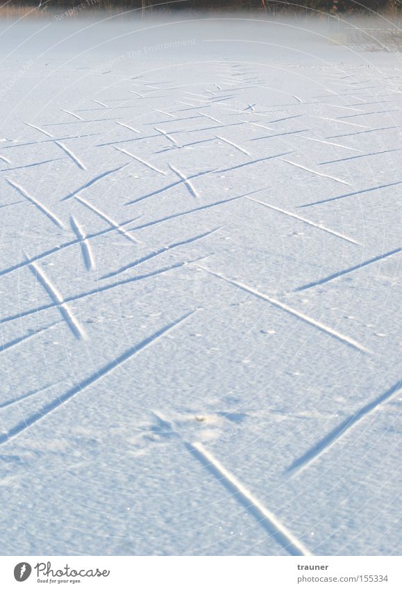 Walk on, Walk on! Winter See Nebel Schnee Eis Spuren gefroren Fährte kalt dunkel Wege & Pfade leer