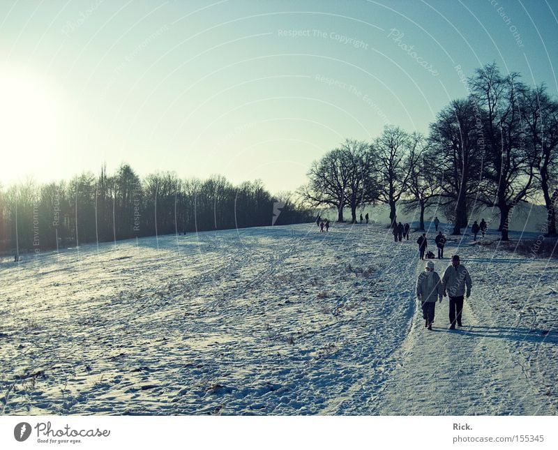 Winterspaziergang Baum Schnee Eis Wege & Pfade Mensch Sonne kalt Glätte laufen Laufsport gehen Spuren Schatten spatziergang Spaziergang