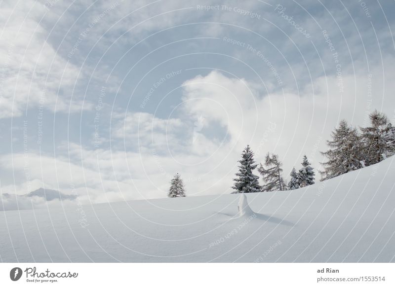 Frühling Skipiste Natur Landschaft Himmel Wolken Winter Schönes Wetter Eis Frost Baum Grünpflanze Wildpflanze Hügel Alpen Berge u. Gebirge Gipfel