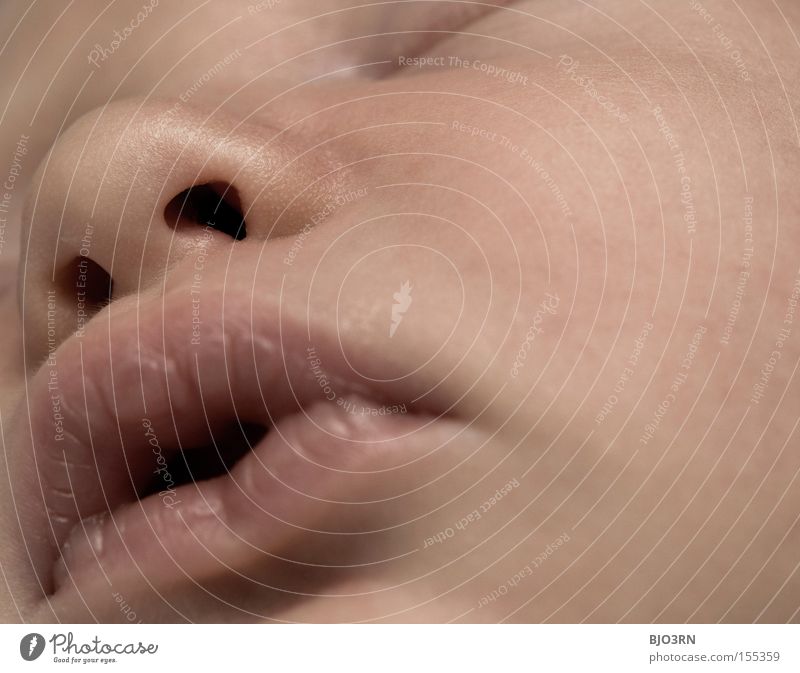 like plastic Baby Gesicht Detailaufnahme Bildausschnitt Makroaufnahme Nahaufnahme Geborgenheit ruhig schlafen Lippen Nase Mund Wange sanft zart Kindheit