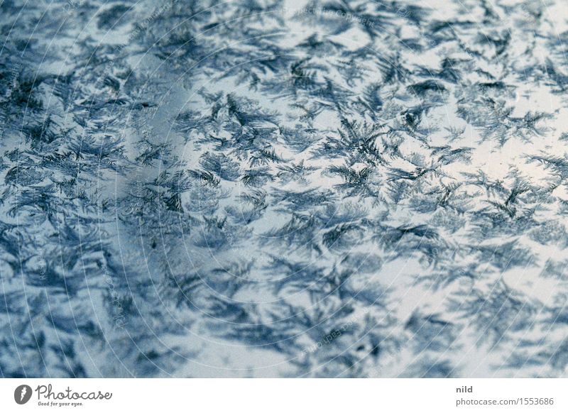 kristallin Umwelt Natur Urelemente Wasser Winter schlechtes Wetter Eis Frost Schnee kalt blau filigran Eiskristall Schneeflocke frieren analog Außenaufnahme