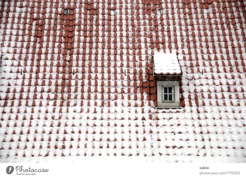 Tauwetter Dach Fenster Winter Dachziegel Dachgaube alt Dorf rot weiß kalt Gefühle Architektur Schnee verrückt Fensterscheibe Glas