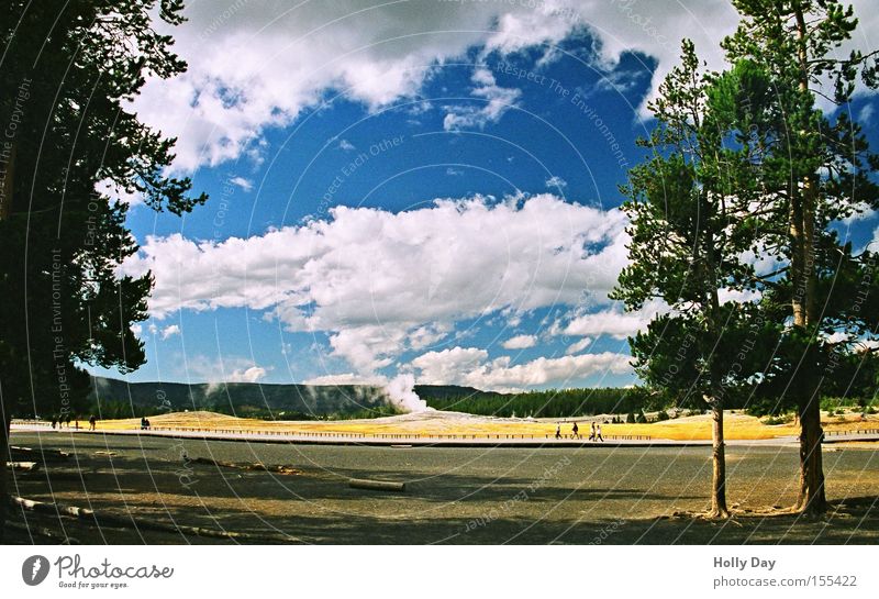Entspannungsphase Baum Geysir Explosion Erholung Nationalpark Wasserdampf Wolken Durchblick Publikum ruhig Pause Aussicht Vulkan Sommer USA Himmel