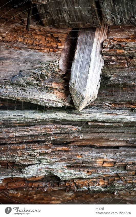 Das verbindende Element Arbeit & Erwerbstätigkeit Holzzapfen Zapfen Balken alt eckig einfach braun Sicherheit Vernetzung Holzdübel Dübel Rechteck Verfall