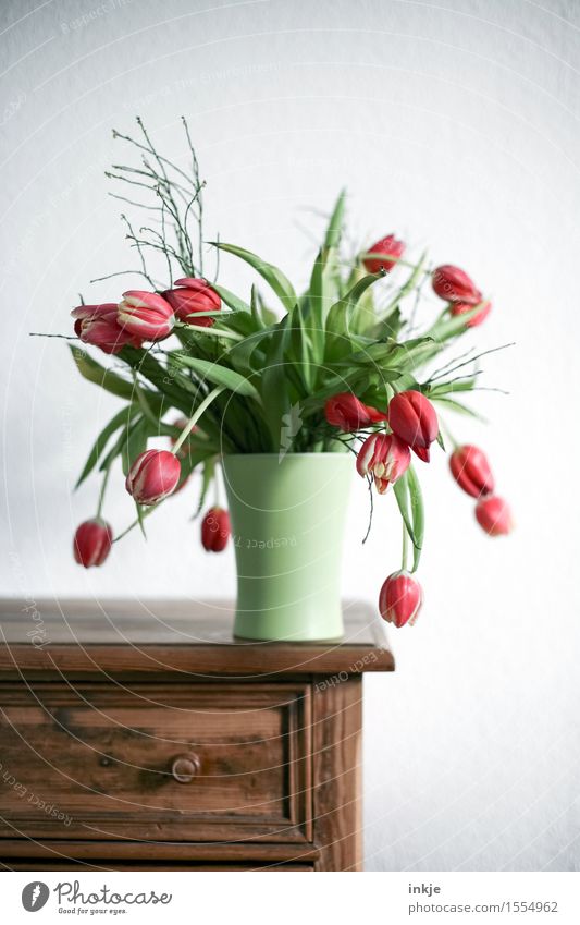 Tulpen Lifestyle Häusliches Leben Wohnung Dekoration & Verzierung Frühling Blumenstrauß Frühlingsblume Frühlingsfarbe Menschenleer Blumenvase Kommode antik
