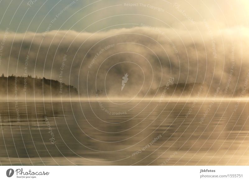 Nebelschleier über dem Bras D´Or Lake Umwelt Natur Landschaft Pflanze Urelemente Luft Wasser Himmel Wolken Sonnenaufgang Sonnenuntergang Frühling Herbst Klima