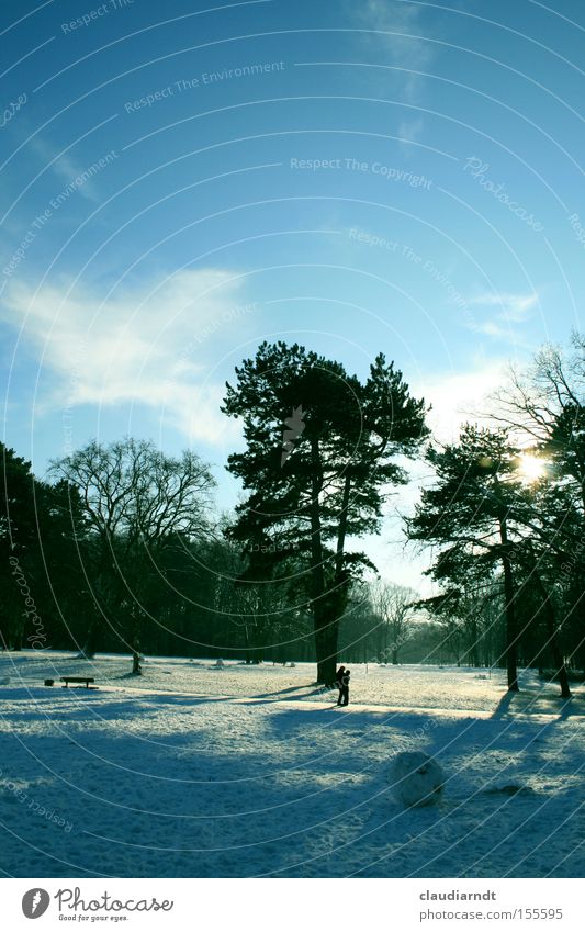 Wintertag Schnee Park Landschaft Baum kalt Frost Schönes Wetter Spaziergang Schneebälle ruhig Schatten