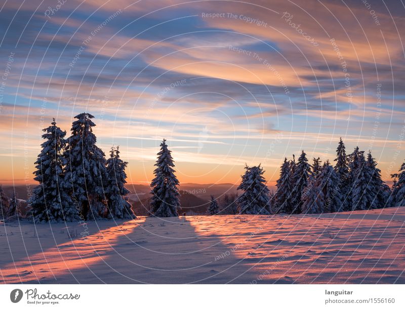 Split Sunset Winter Schnee Winterurlaub Berge u. Gebirge Natur Landschaft Himmel Wolken Sonne Sonnenaufgang Sonnenuntergang Sonnenlicht Baum Wald Gipfel