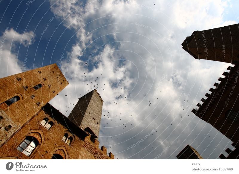 Vogelperspektive San Gimignano Italien Toskana Kleinstadt Stadtzentrum Altstadt Haus Hochhaus Religion & Glaube Dom Palast Platz Turm Bauwerk Gebäude