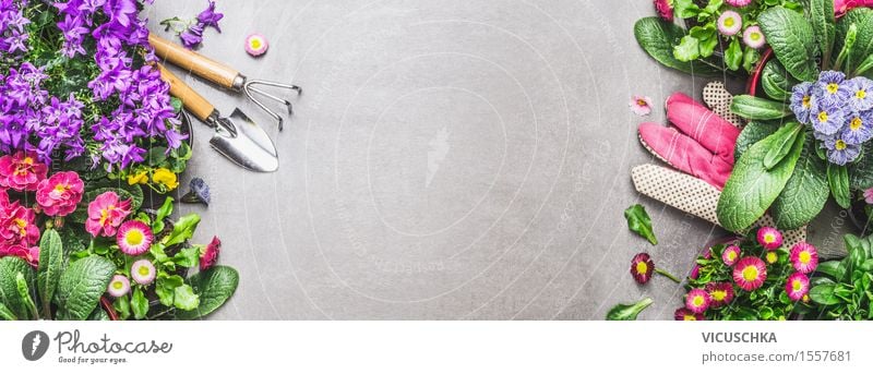 Garten Geräte mit Sommerblumen Stil Design Dekoration & Verzierung Tisch Natur Pflanze Frühling Herbst Blume Blatt Blüte Fahne gelb rosa Ladengeschäft Website