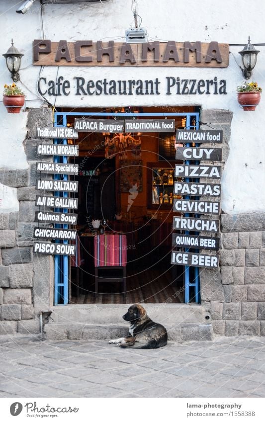 Pachamama Ernährung Italienische Küche Pizzeria Tourismus Cuzco Peru Südamerika Restaurant Gastronomie Mauer Wand Tür Hund Eingang Eingangstür Café Inka