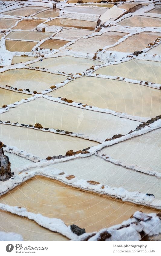 Weißes Gold Salz Kochsalz Landschaft Maras Peru Südamerika weiß Saline Salzterrasse mehrfarbig Inka Farbfoto Außenaufnahme