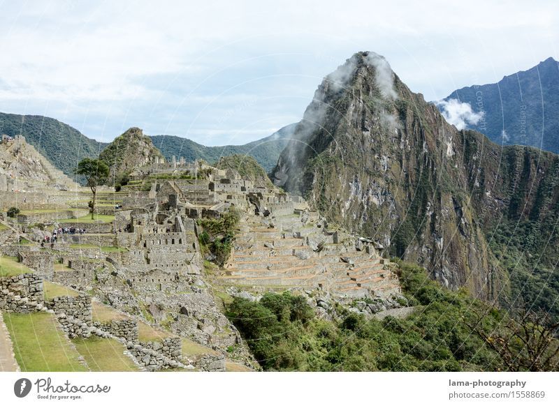 Machu Picchu Ferien & Urlaub & Reisen Tourismus Ausflug Abenteuer Sightseeing Natur Landschaft Berge u. Gebirge Machu Pichu Gipfel Heiliges Tal Cuzco Peru