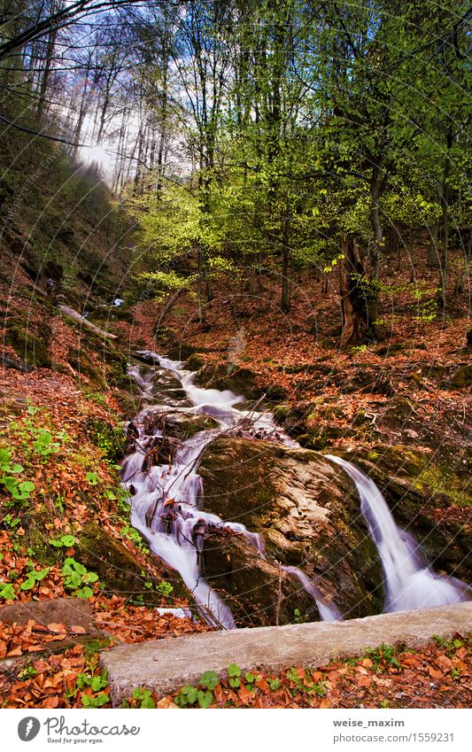 Spring Wasserfall und Wald Stream in Bergen Ferien & Urlaub & Reisen Sonne Natur Landschaft Pflanze Urelemente Erde Himmel Sonnenaufgang Sonnenuntergang