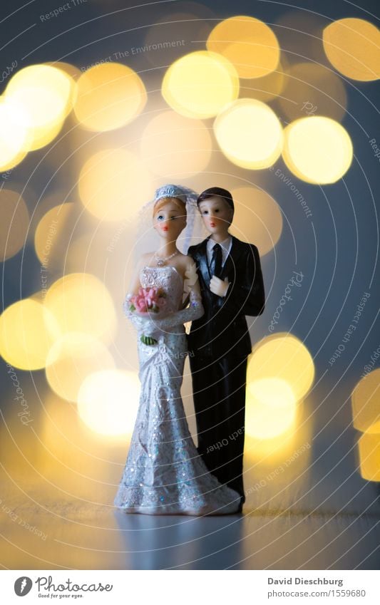 Hochzeitstag Frau Erwachsene Mann Paar Partner Körper Kleid Anzug Glück Zufriedenheit Vertrauen Geborgenheit Zusammensein Liebe Verliebtheit Treue Romantik