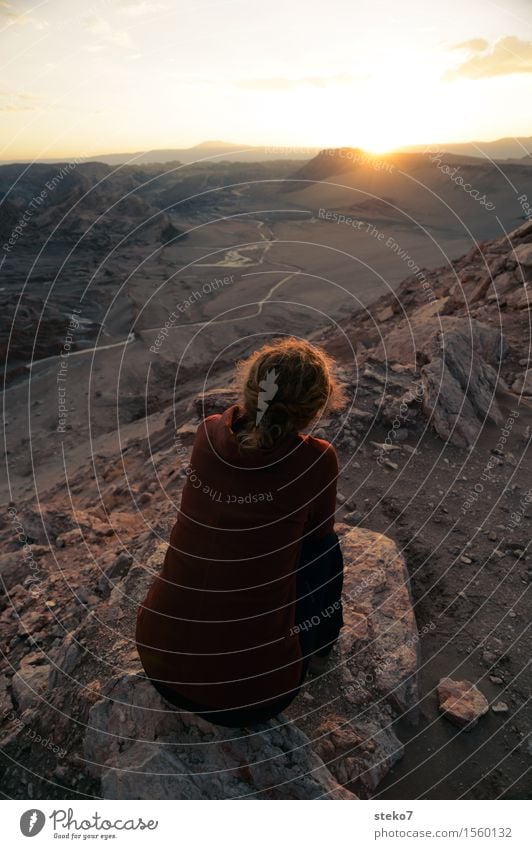 Sonnenuntergang im Mondtal feminin Junge Frau Jugendliche 1 Mensch Felsen Berge u. Gebirge Schlucht Blick warten geduldig ruhig Valle de la luna Chile