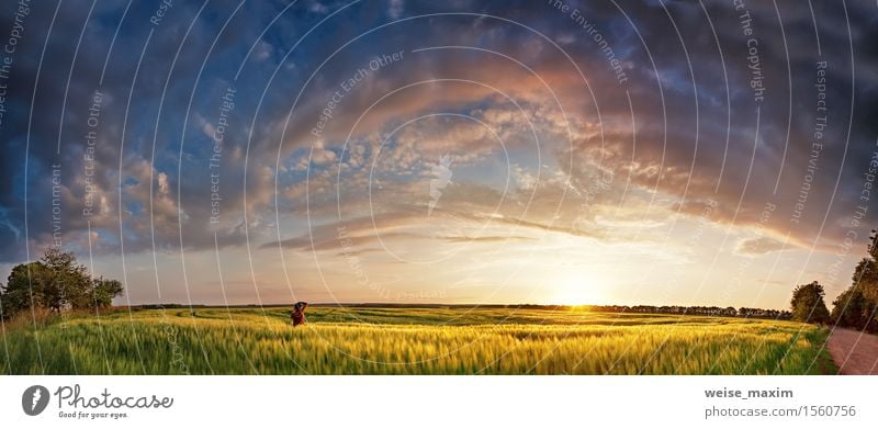 Getreidefelder des Sonnenuntergangpanoramas im Frühjahr mit Fotografen schön Ferien & Urlaub & Reisen Sommer Umwelt Natur Landschaft Himmel Wolken Horizont