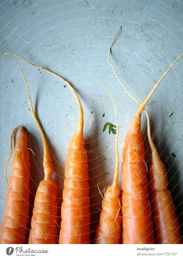 Ich leb' ab jetzt gesund! Möhre orange Gemüse Vegetarische Ernährung Gesundheit knackig Wurzel Wurzelgemüse Rohkost