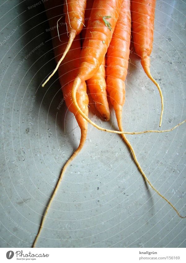Hasenfutter Möhre Gesundheit Vegetarische Ernährung Gemüse Wurzel Wurzelgemüse Rohkost orange