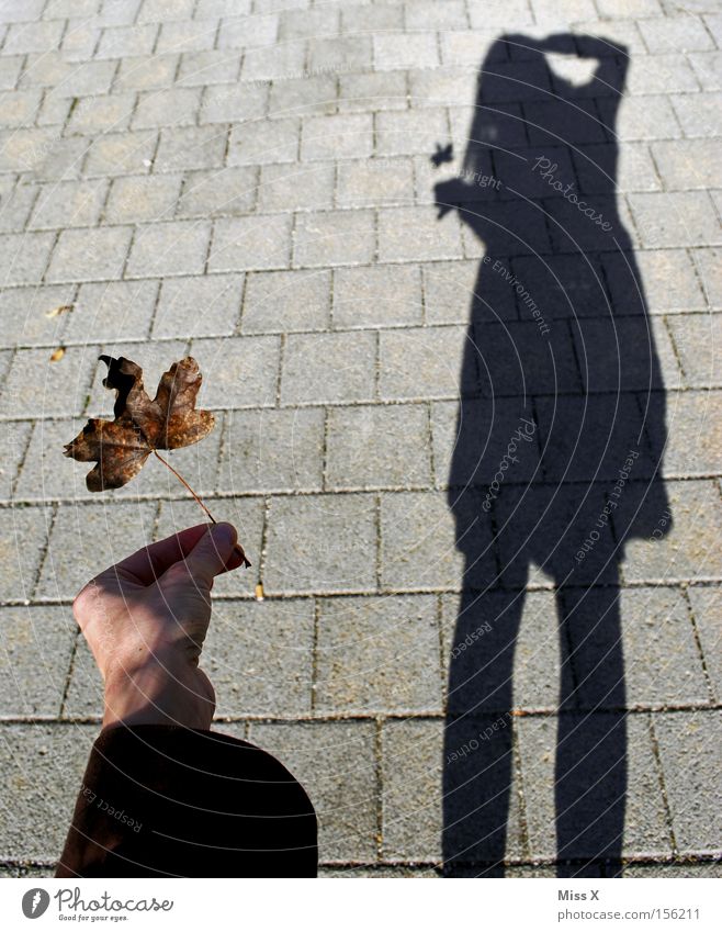 und was knipst du ? Frau Erwachsene Beine Herbst Blatt grau schwarz unterwegs Schattenspiel Fotografieren herbstlich Selbstportrait Bürgersteig Farbfoto