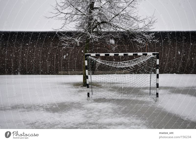 ... und noch ein Wintermärchen TEIL 3 Handball Fußball Winterpause Tor Weltmeisterschaft Schnee Schneefall Wetter Kroatien Rasen Sportrasen kalt Baum Scheune