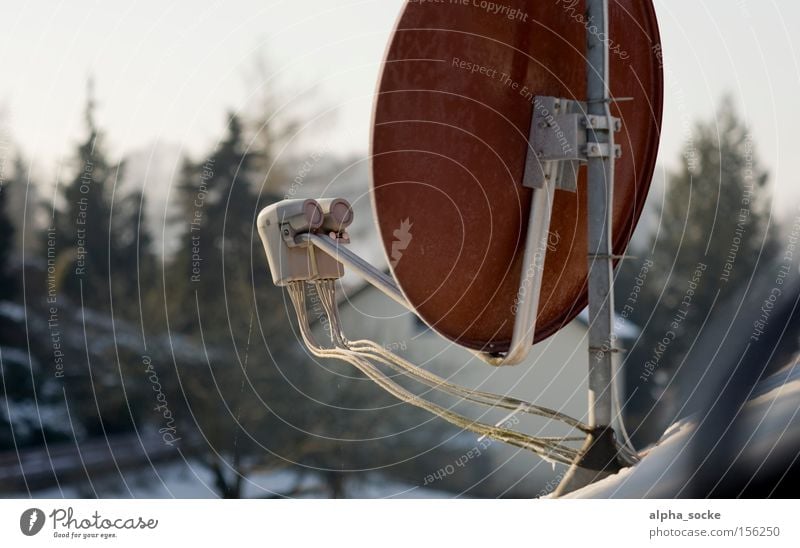 Satellitenschüssel Satellitenantenne Fernsehen Fernseher Januar Winter Schalen & Schüsseln rot Digitalfotografie digital Antenne Elektrisches Gerät