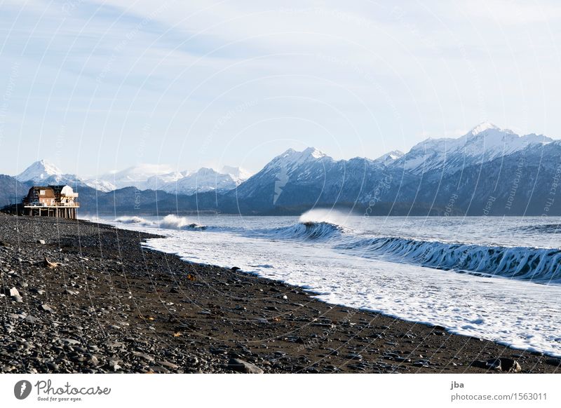 am Meer in Alaska - Alaska 31 Leben Wohlgefühl Ferien & Urlaub & Reisen Ausflug Freiheit Strand Natur Landschaft Urelemente Luft Wasser Herbst Schönes Wetter