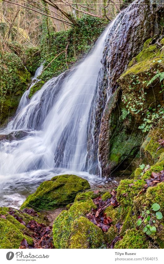 Wasserfall Altube schön Ferien & Urlaub & Reisen Berge u. Gebirge Umwelt Natur Landschaft Pflanze Baum Moos Blatt Park Wald Felsen Bach Fluss Stein Bewegung