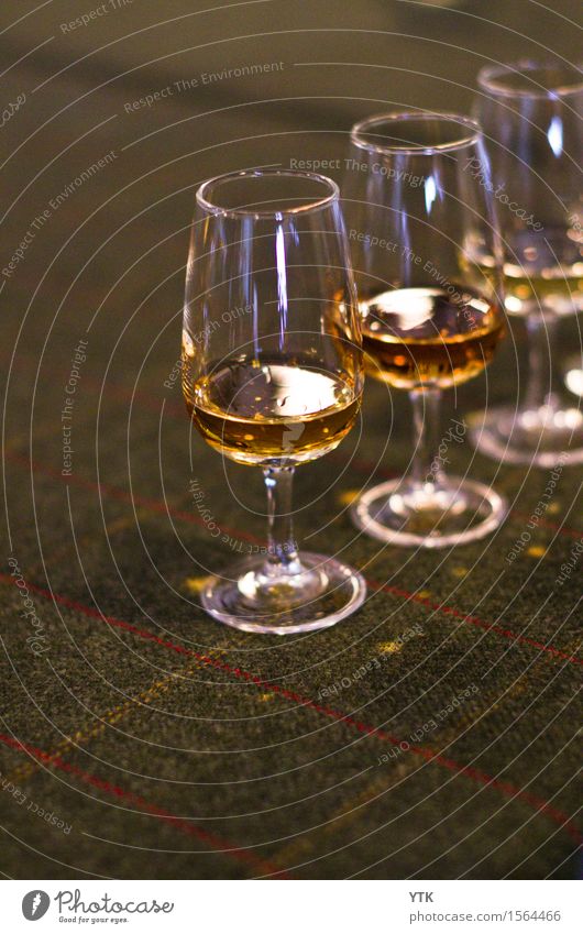 Scottish Tasting Getränk trinken Spirituosen Glas Lifestyle Reichtum elegant Stil Design Freude Gesundheit Alkohol Wohlgefühl Zufriedenheit Sinnesorgane