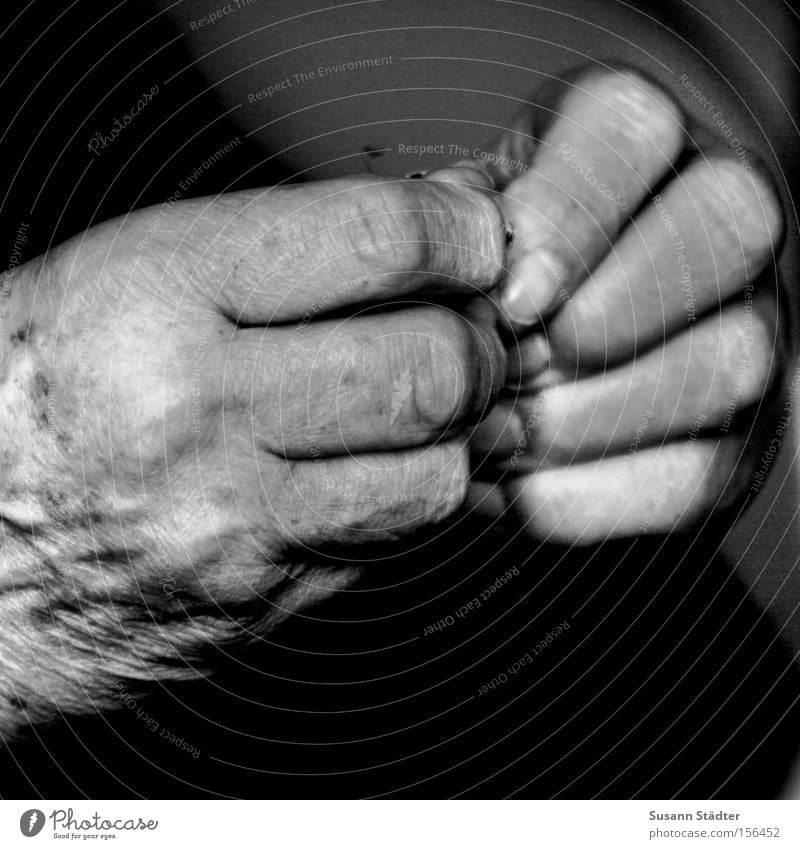 Zeichen der Zeit alt grau Senior Falte Hautfalten Hand Finger Einsamkeit Wärme Geborgenheit Bibel Gebet erinnern ruhig Aufenthalt Gedanke frei 80 Demenz