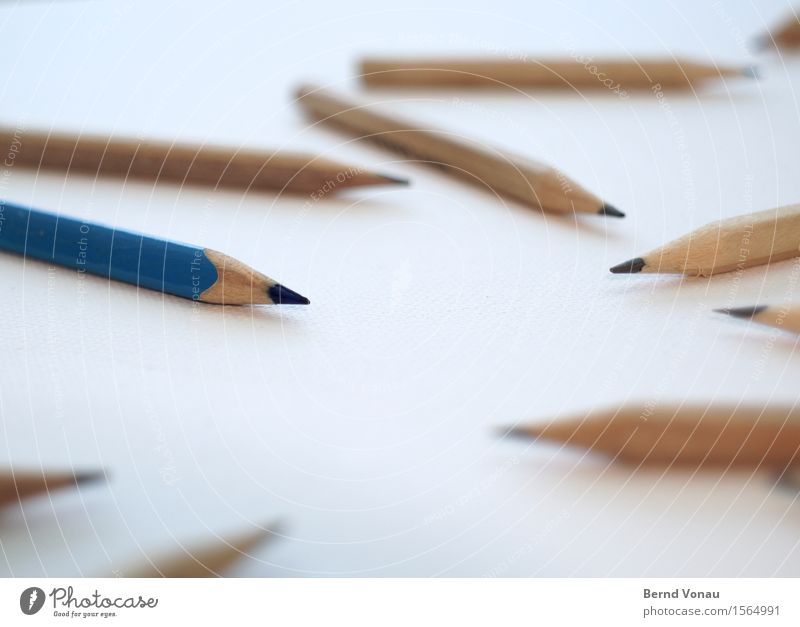 Farbiger Schreibwaren Schreibstift blau braun weiß Bleistift Außenseiter Kreativität Farbe Spitze schreiben zeichnen Holz Anspitzer holzstift Farbstift Schule