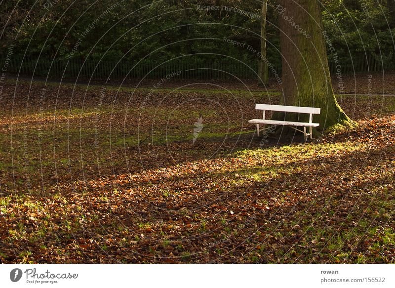 ruhepunkt Park Parkbank Bank Herbst ruhig Erholung Pause innehalten stagnierend Blatt Garten