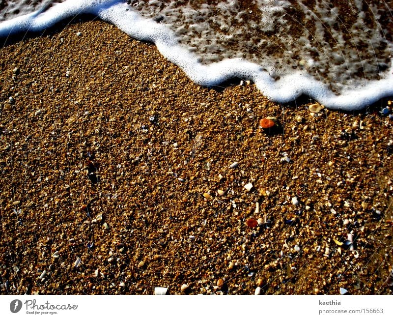 ...und schon wieder weg! Strand Meer Wellen Sand Wasser Küste Bewegung Schaum sprudelnd Rauschen Sommer Spanien Reisefotografie Muschel Badeort Badeurlaub braun