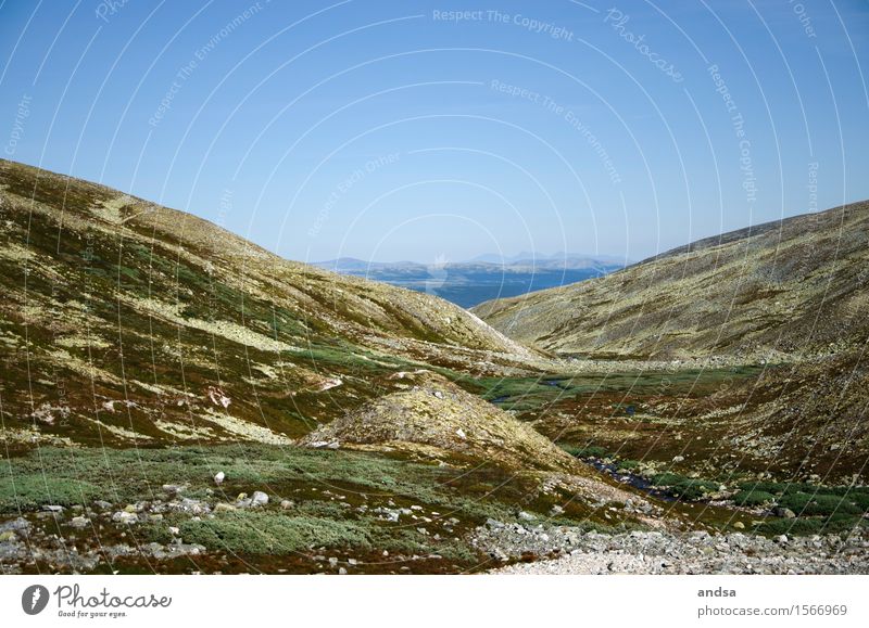 Rondane Nationalpark in Norwegen Hügel Berge u. Gebirge Aussicht Panorama (Aussicht) Landschaft Felsen Natur wandern Ferne Tourismus Gipfel Sommer