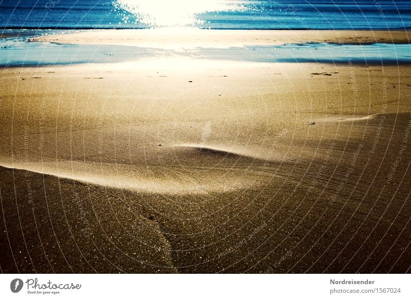 Goldsand trifft stahlblaues Wasser Ferien & Urlaub & Reisen Sommerurlaub Meer Insel Urelemente Sand Sonne Schönes Wetter Strand Nordsee Ostsee glänzend